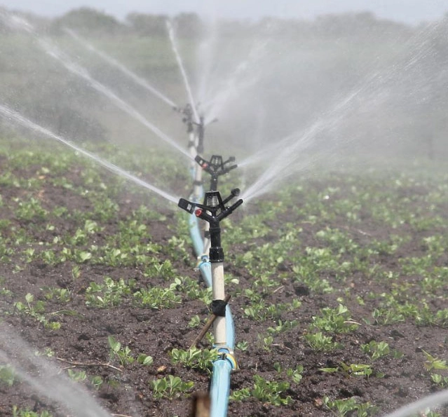 Bespoke irrigation